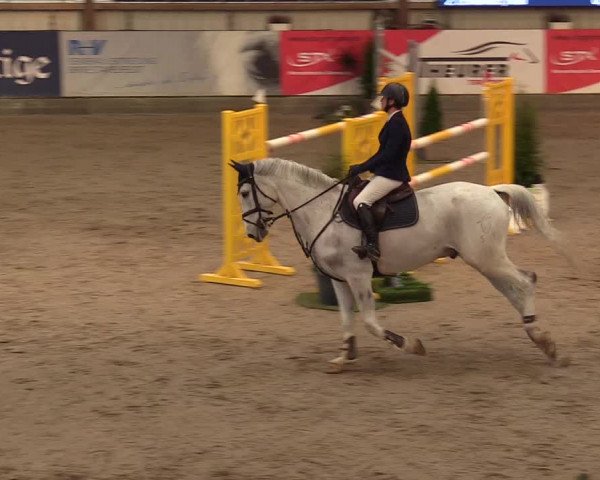 10. Nordic Jumping Event in Negernbötel 2022