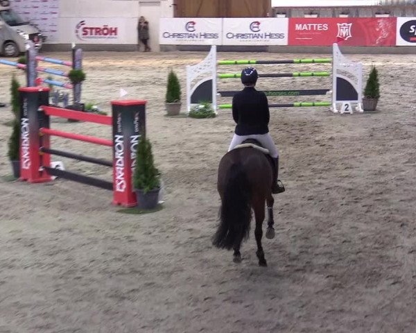 10. Nordic Jumping Event in Negernbötel 2022