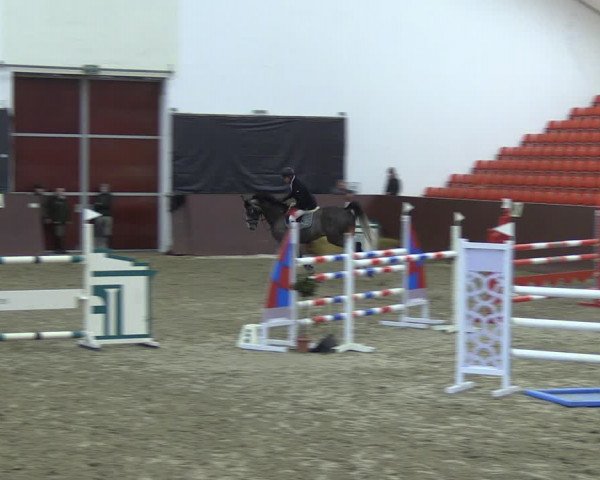 Reitturnier Redefin 2022