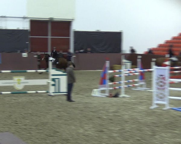 Reitturnier Redefin 2022