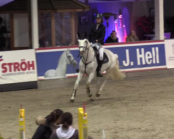 Reitturnier Negernbötel -St. Hippolyt Preis- 2022