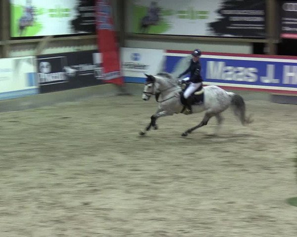 Reitturnier Negernbötel -St. Hippolyt Preis- 2022