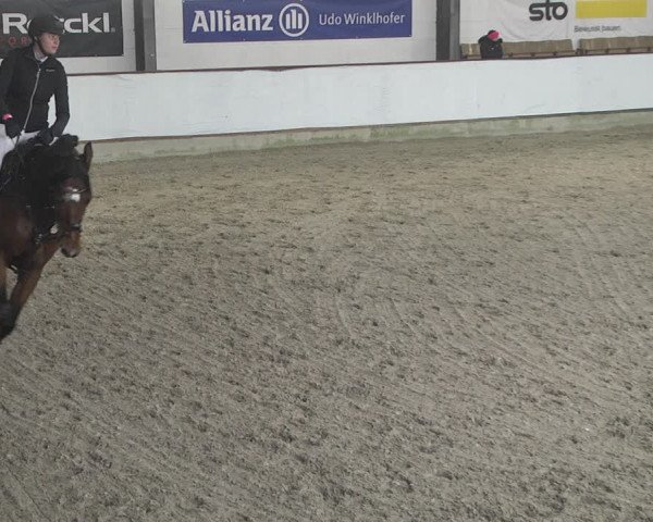 Hallenspringturnier Karlsfeld 2022