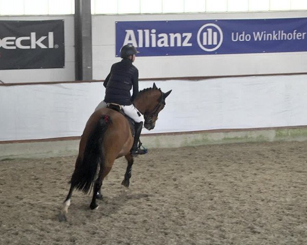 Hallenspringturnier Karlsfeld 2022