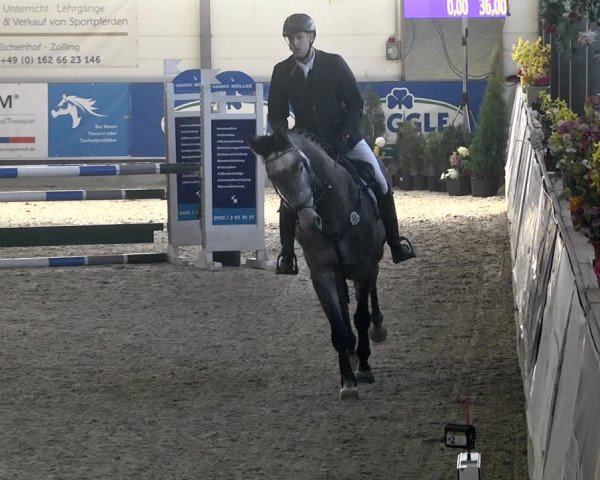 Hallenspringturnier Karlsfeld 2022