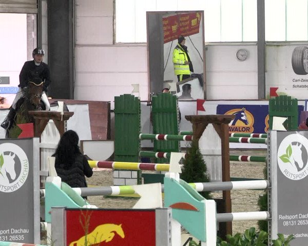 Hallenspringturnier Karlsfeld 2022