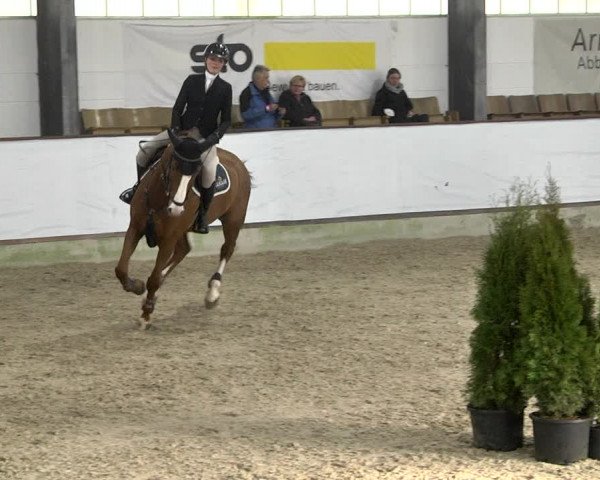 Hallenspringturnier Karlsfeld 2022