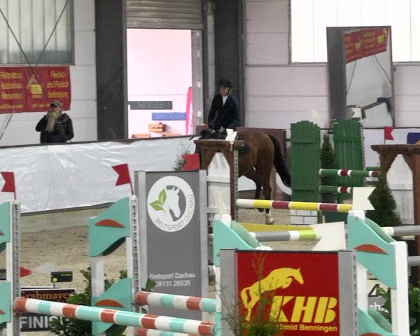 Hallenspringturnier Karlsfeld 2022