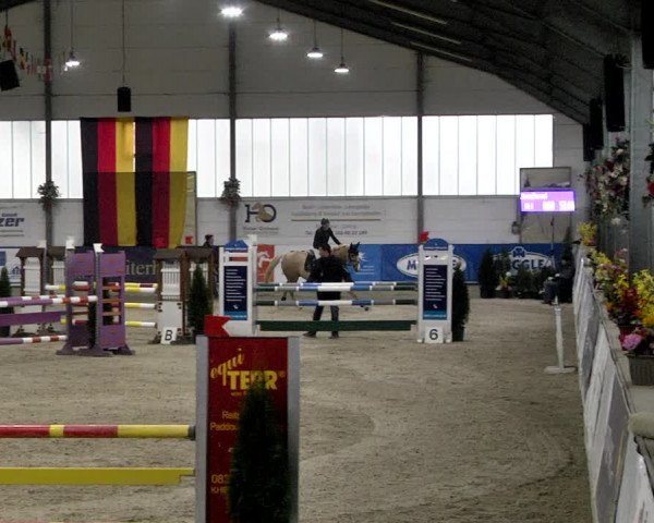 Hallenspringturnier Karlsfeld 2022
