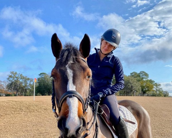 horse KINAMARA silver cloud (Connemara Pony, 2017, from Ashfield Echo I Love You)
