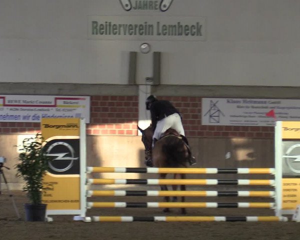 Reit- und Springturnier Lembeck 2022