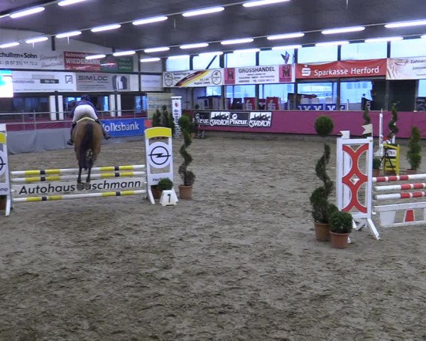 Bismarck Indoors Hallenturnier Vlotho-Exter 2022