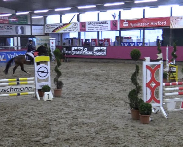 Bismarck Indoors Hallenturnier Vlotho-Exter 2022