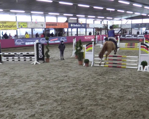 Bismarck Indoors Hallenturnier Vlotho-Exter 2022