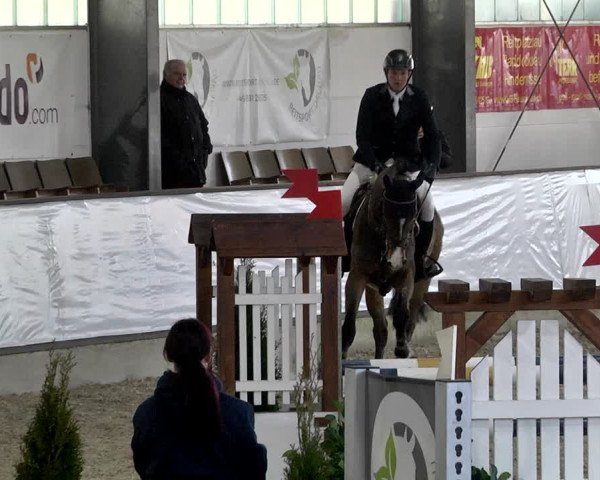 Hallenspringturnier Karlsfeld 2022