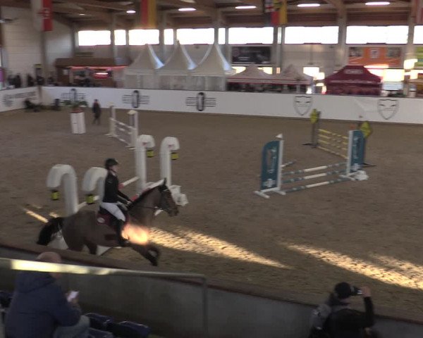 Hallenjumping Prussendorf 2022