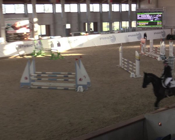 Hallenjumping Prussendorf 2022