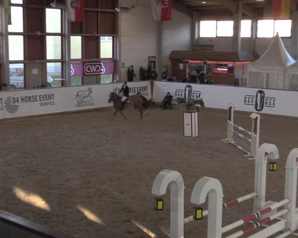 Hallenjumping Prussendorf 2022