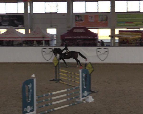 Hallenjumping Prussendorf 2022
