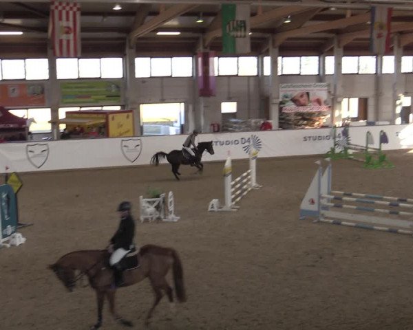 Hallenjumping Prussendorf 2022