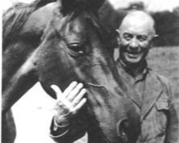 broodmare Ideale (Trakehner, 1942, from Totilas)