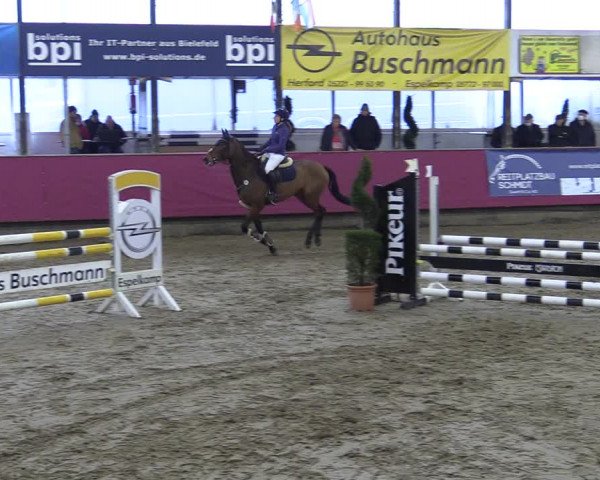 Bismarck Indoors Hallenturnier Vlotho-Exter 2022