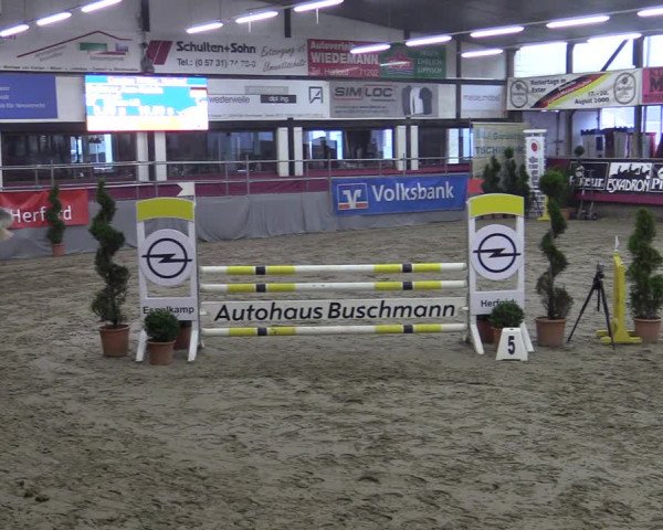 Bismarck Indoors Hallenturnier Vlotho-Exter 2022