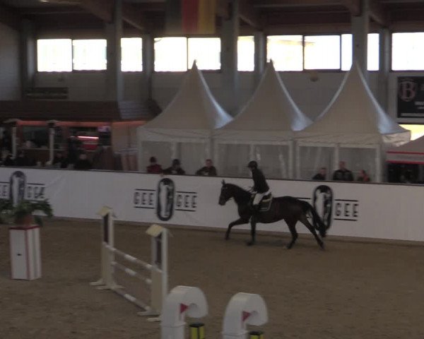 Hallenjumping Prussendorf 2022