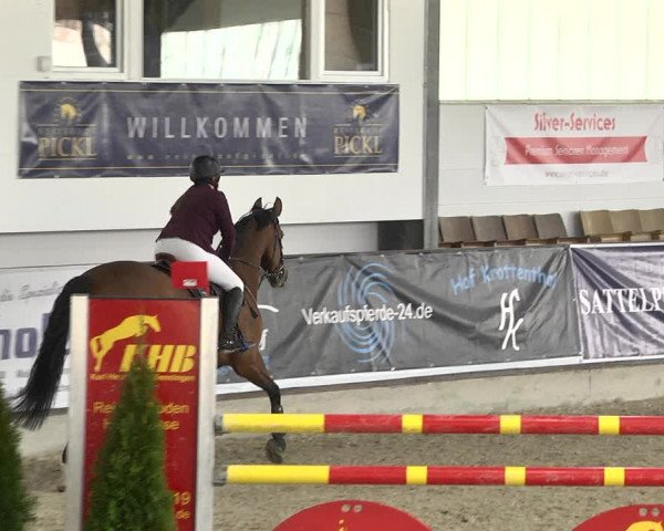Hallenspringturnier Karlsfeld 2022