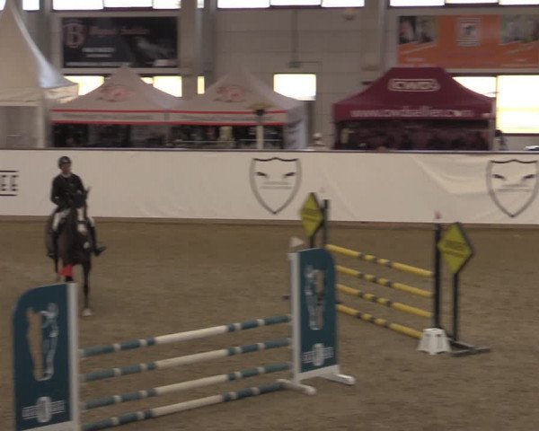 Hallenjumping Prussendorf 2022