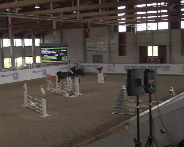 Hallenjumping Prussendorf 2022