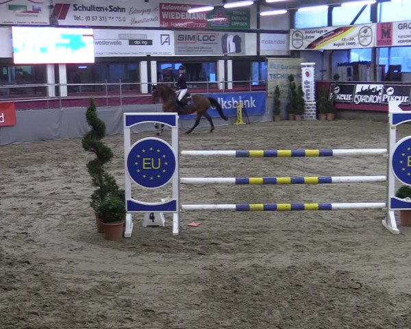 Bismarck Indoors Hallenturnier Vlotho-Exter 2022