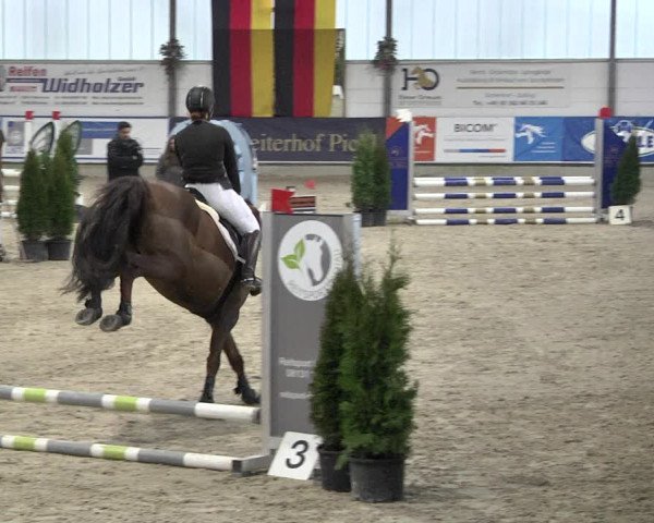 Hallenspringturnier Karlsfeld 2022