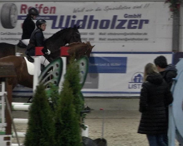 Hallenspringturnier Karlsfeld 2022