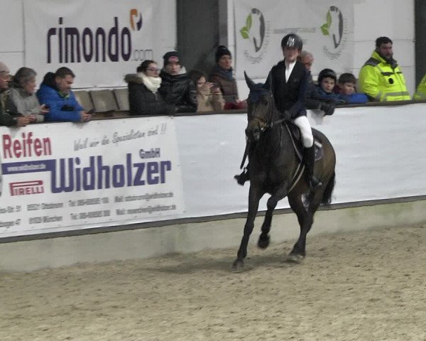 Hallenspringturnier Karlsfeld 2022