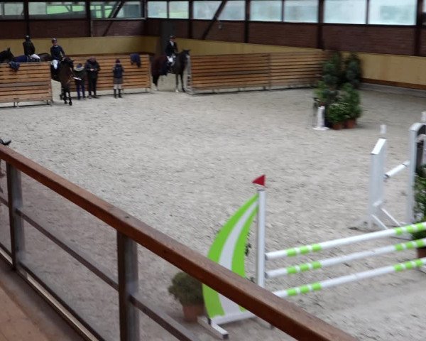 Springturnier Hamburg-Friedrichshulde/Sylva Kuhrt 2022