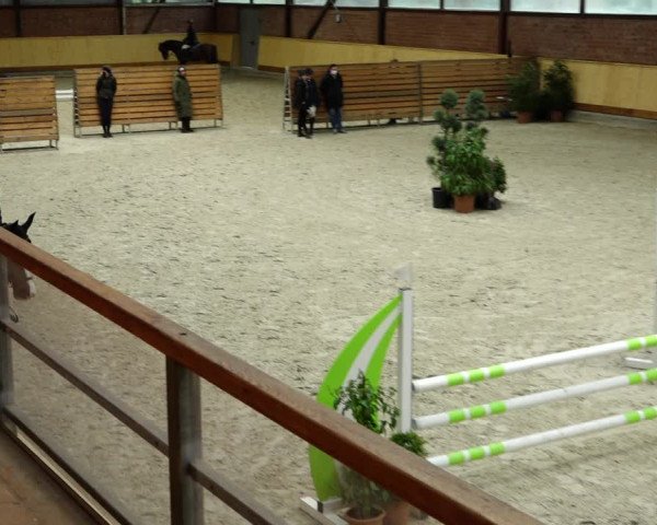 Springturnier Hamburg-Friedrichshulde/Sylva Kuhrt 2022