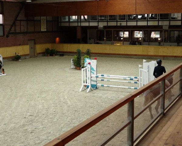 Springturnier Hamburg-Friedrichshulde/Sylva Kuhrt 2022
