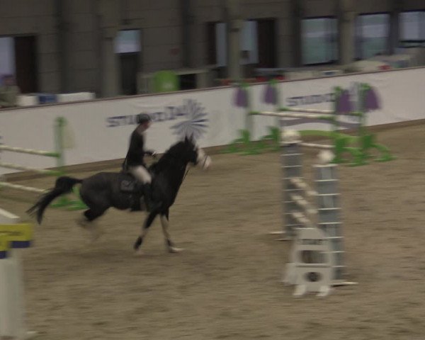 Hallenjumping Prussendorf 2022