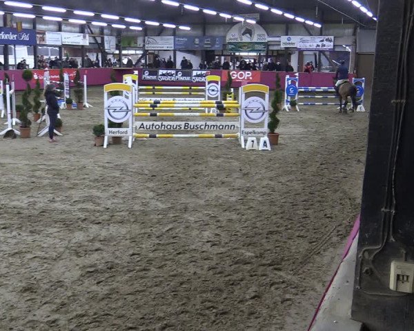 Bismarck Indoors Hallenturnier Vlotho-Exter 2022