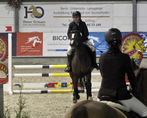 Hallenspringturnier Karlsfeld 2022