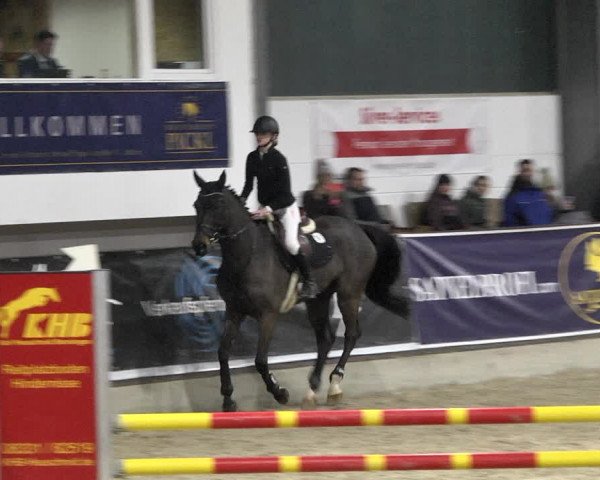 Hallenspringturnier Karlsfeld 2022