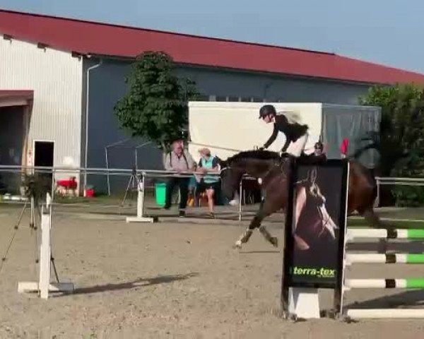 Video of ASG Darcy