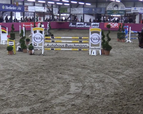 Bismarck Indoors Hallenturnier Vlotho-Exter 2022