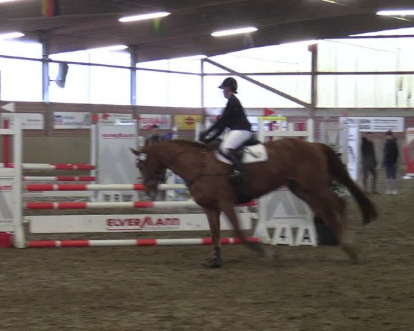 Reit- und Springturnier Lembeck 2022