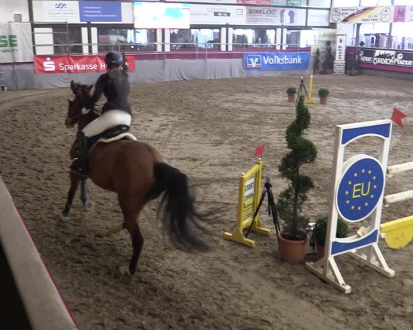 Bismarck Indoors Hallenturnier Vlotho-Exter 2022