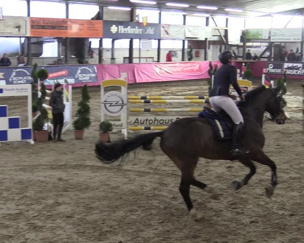 Bismarck Indoors Hallenturnier Vlotho-Exter 2022