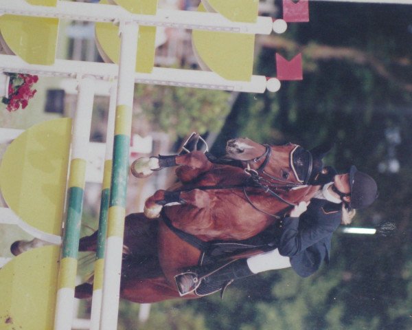 horse Penny Lane (German Riding Pony, 1995, from Principal Boy)