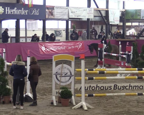 Bismarck Indoors Hallenturnier Vlotho-Exter 2022