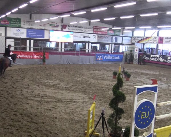Bismarck Indoors Hallenturnier Vlotho-Exter 2022